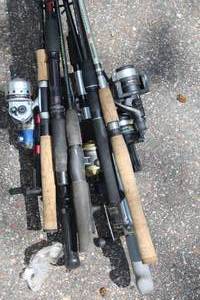 Lot of (10) Assorted Fishing Rods