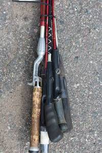 Lot of (10) Assorted Fishing Rods