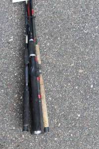 Lot of (9) Assorted Fishing Rods