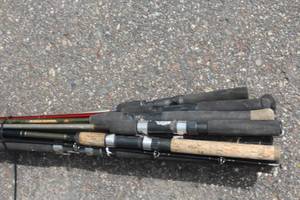 Lot of (12) Assorted Fishing Rods