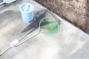 (2) Fish Nets, (1) Fish Bucket