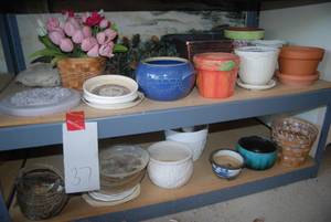 Large assortment of planters, citro...