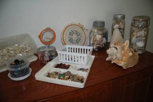 Collection of sea shells, buttons, ...