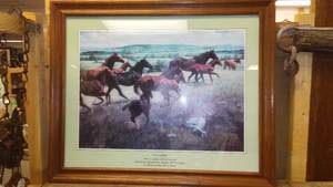Framed Horse Picture