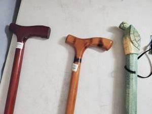 2 New Canes and New Turtle Walking Stick