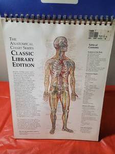 The Anatomical Chart Series