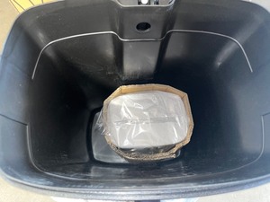 StyleWell 13 Gal. Stainless Steel D Shape Step-On Trash Can