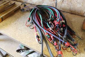 lot 117 image: Lot of  Assorted Bungee Cords