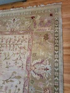 Amazing Oriental Wool Champagne Area Rug