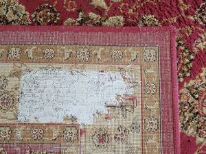 Luxuriant Wool Oriental Area Rug - 63 x 43