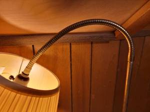 Polished Adjustable Arm Lamp