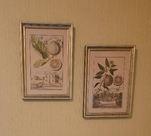 Classical Italian Botanical Prints
