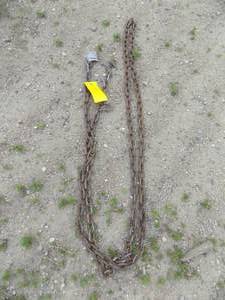 lot 15 image: 15 Log Chain 2 Hooks
