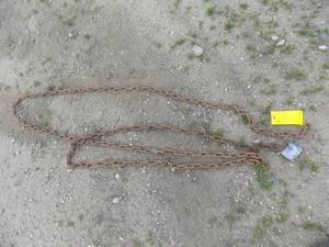 lot 16 image: 15 Log Chain 1 Hooks