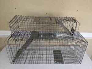 lot 104 image: Medium and Large Live Traps