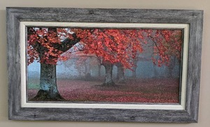 lot 30 image: Arboles Rojos Framed Art Print from Kirklands