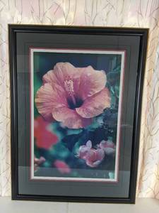 lot 98 image: Framed Floral Print