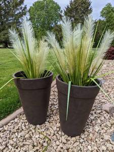lot 189 image: A Pair of Plastic Outdoor Pots with Real Grass Plants