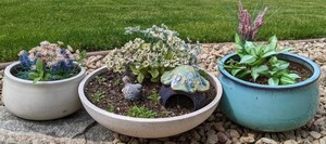 lot 186 image: Three Potted Outdoor Ceramic Flower Pots