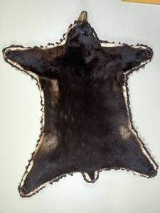 lot 9 image: Bear Skin Mount