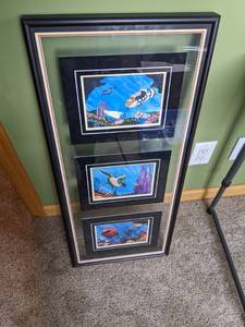 lot 238 image: Underwater Fish Glass Framed Prints Wall Decoration Art