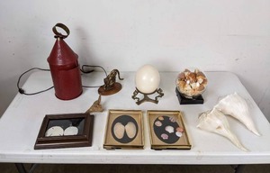 lot 345 image: Eclectic Collection of Seaside Home Decor Seahorse, Seashell, Lantern, Sand Dollars, Etc.