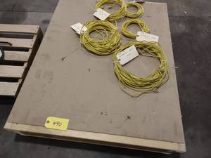 lot 490 image: (5) Ethernet Cables, Approx. 100, ...