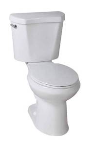 lot 46 image: GLACIER BAY 10 in. Rough-in 2-Piece 1.28 GPF High Efficiency Single Flush Round Front All-in-One Toilet in White, Seat Included