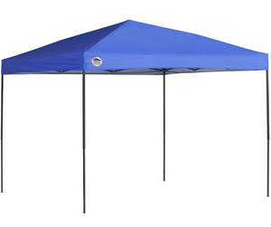 lot 129 image: SHADE TECH 10x10 Instant Canopy