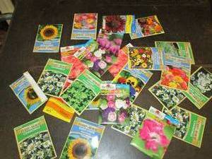 25 packages of flower seeds ...