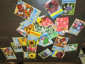 25 packages of flower seeds ...