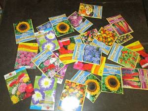 25 packages of flower seeds...