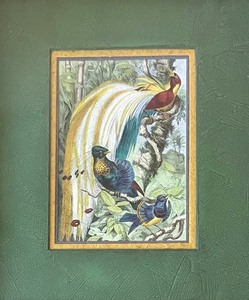 lot 44 image: Tropical Birds IV Framed Print by Mutzel