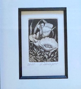 lot 25 image: Beautiful Framed Floral Black and White Etching