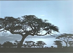 lot 210 image: Fine Framed Scenic Print by Cyndy Campbell