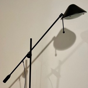 Adjustable Black Floor Lamp
