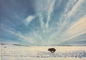 Unframed Print by Richard Hamilton Smith