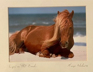 Layin on the Beach Framed Photo by George Rhodes
