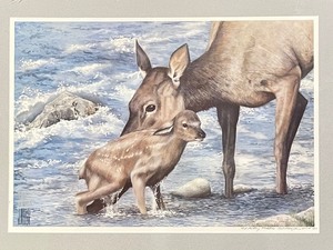 Framed and Numbered Print by James Reed with Certificate of Authenticity