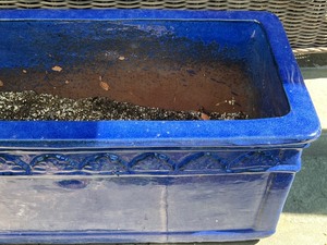 Pair of Beautiful Cobalt Blue Planters