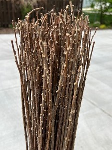 Bundle of Decorative Twigs
