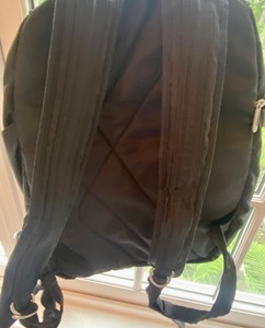 Smaller Size Travelon Backpack