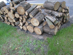 Firewood