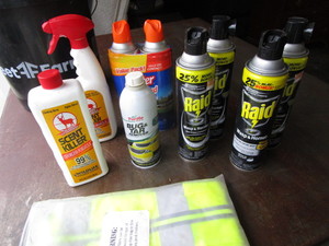 Wasp & Hornet Spray, Scent Killer, Vest