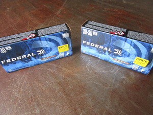 Federal 30-30 Cartridges