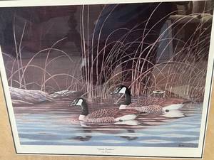 Quiet Shadows - Signed and Numbered