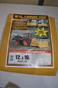 Sportsman 291