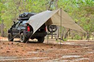Sportsman 291