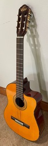 Oscar Schmidt by Washburn Guitar and Bansbach Case