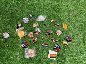 lot 109 image: REMax Pins